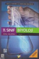 11. Sınıf Biyoloji Konu Anlatımlı