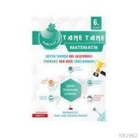 6. Sınıf Defter Tadında Tane Tane Matematik