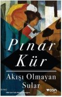 Akışı Olmayan Sular
