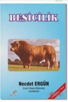 Besicilik