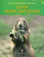 Besin Zincirlerini Korumak - Çayır Besin Zincirleri