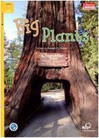 Big Plants+Downloadable Audio A1