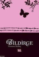 Bildirge