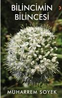 Bilincimin Bilincesi