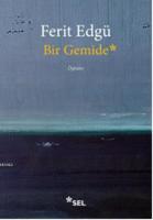 Bir Gemide