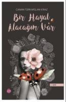 Bir Hayat Alacağım Var (2. Seri)