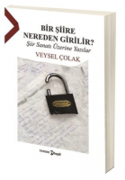 Bir Şiire Nereden Girilir? Şiir Sanatı Üzerine Yazılar