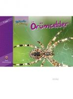 Bir Zamanlar Korkardım - Örümcekler