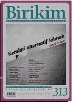 Biriki Sayı: 313