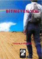 Bitmeyen Yol
