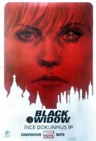 Black Widow Cilt 1