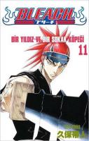 Bleach 11. Cilt: Bir Yıldız ve Bir Sokak Köpeği