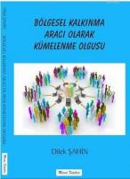 Bölgesel Kalkınma Aracı Olarak Kümelenme Olgusu