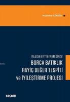 Borca Batıklık Rayiç Değer Tespiti ve İyileştirme Projesi