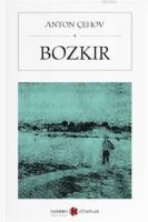 Bozkır