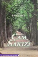 Çam Sakızı