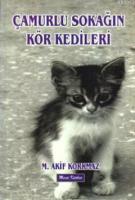 Çamurlu Sokağın Kör Kedileri