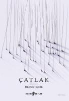 Çatlak