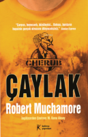 Cherub 1: Çaylak