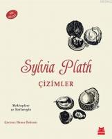 Çizimler