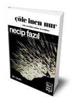 Çöle İnen Nur