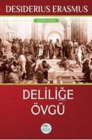 Deliliğe Övgü