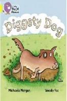 Diggety Dog (Big Cat Phonics-3 Yellow)