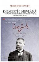 Dilmesti-i Mevlana ve Gazali'de Ma'rifetullah, Ruba'iyyat-ı Gazali, Orfi'de Şi'r ve İrfan