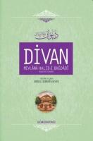 Divan Mevlânâ Halid-i Bagdâdî (Ciltli)