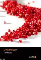 Diwana Jan (1987 - 1995)