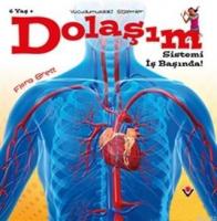 Dolaşım Sistemi İş Başında! - Vücudumuzdaki Sistemler