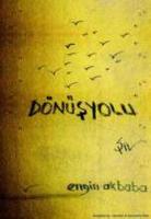 Dönüşyolu