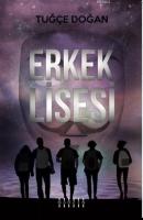 Erkek Lisesi