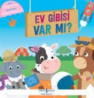 Ev Gibisi Var Mı?