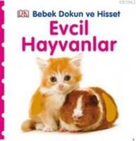 Evcil Hayvanlar