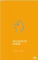 Felsefeye Giriş