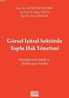 Görsel İsitsel Sektorde Toplu Hak Yönetimi