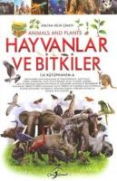 Hayvanlar ve Bitkiler