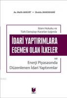 İdari Yaptırımlara Egemen Olan İlkeler ve Enerji Piyasasında Düzenlenen İdari Yaptırımlar