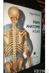 İnsan Anatomisi Atlası Vigue-Martin