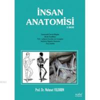 İnsan Anatomisi