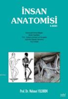 İnsan Anatomisi