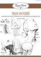İnsan Anatomisi