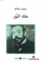 Işık Krallığı