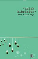 Islak Kibritler