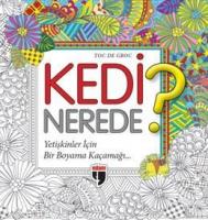 Kedi Nerede ?