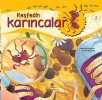 Keşfedin Karıncalar