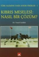 Kıbrıs Meselesi: Nasıl Bir Çözüm ?