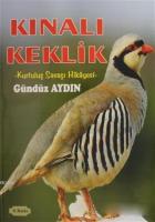 Kınalı Keklik