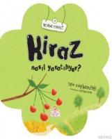 Kiraz Nasıl Yaratılıyor?
